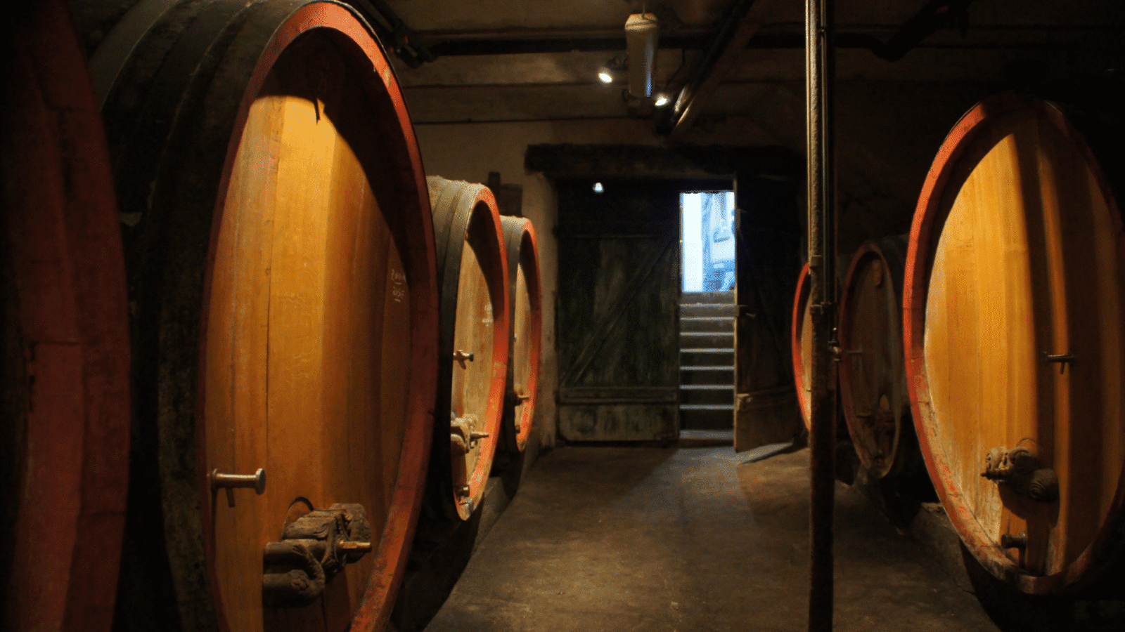 Cave a vins - épicerie épicurienne