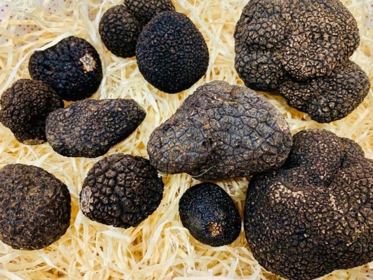 La Truffe Noire fraiche est arrivée